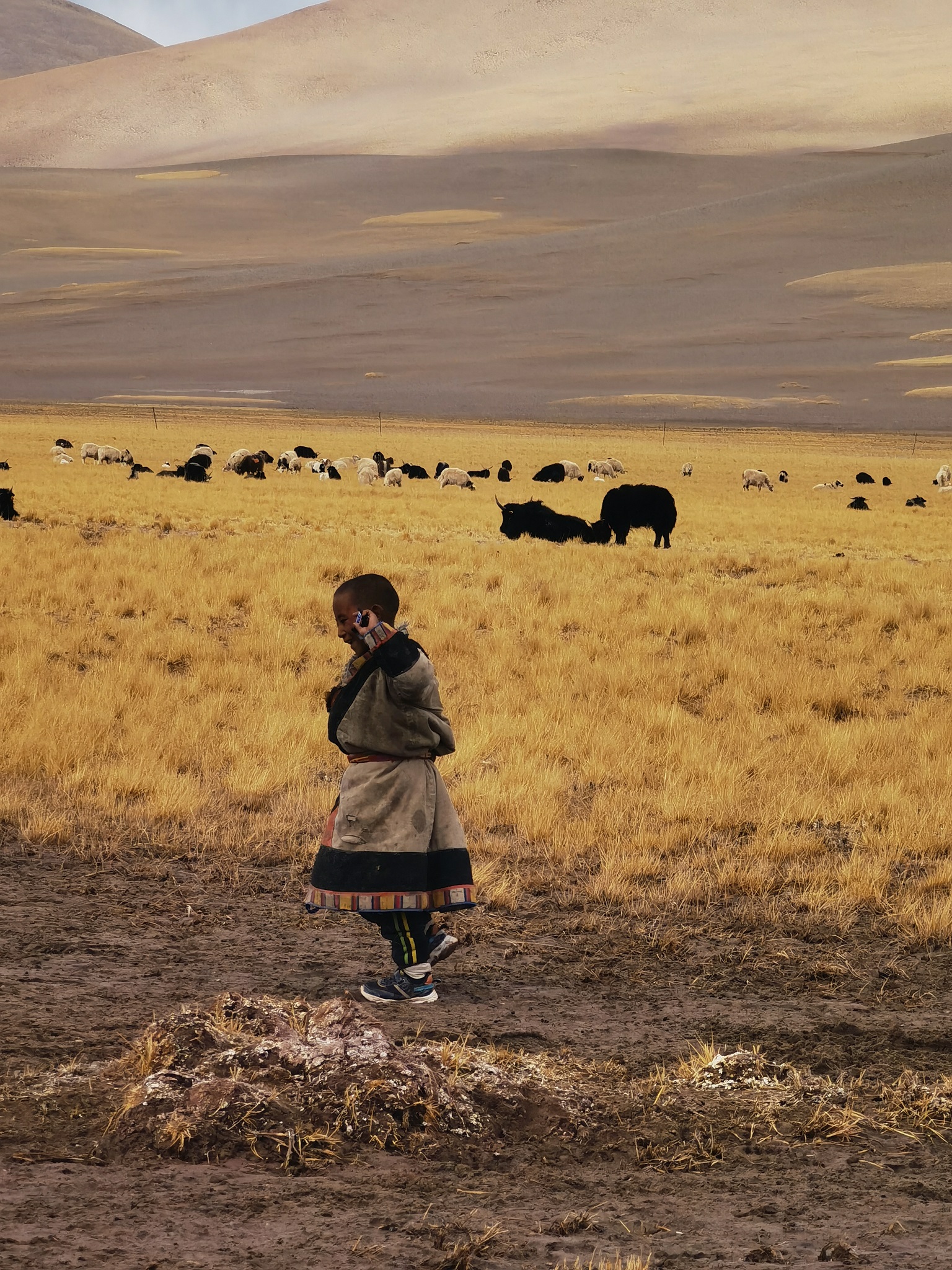 1633680295484093ttgP.jpg 1633680295484093ttgP.jpg