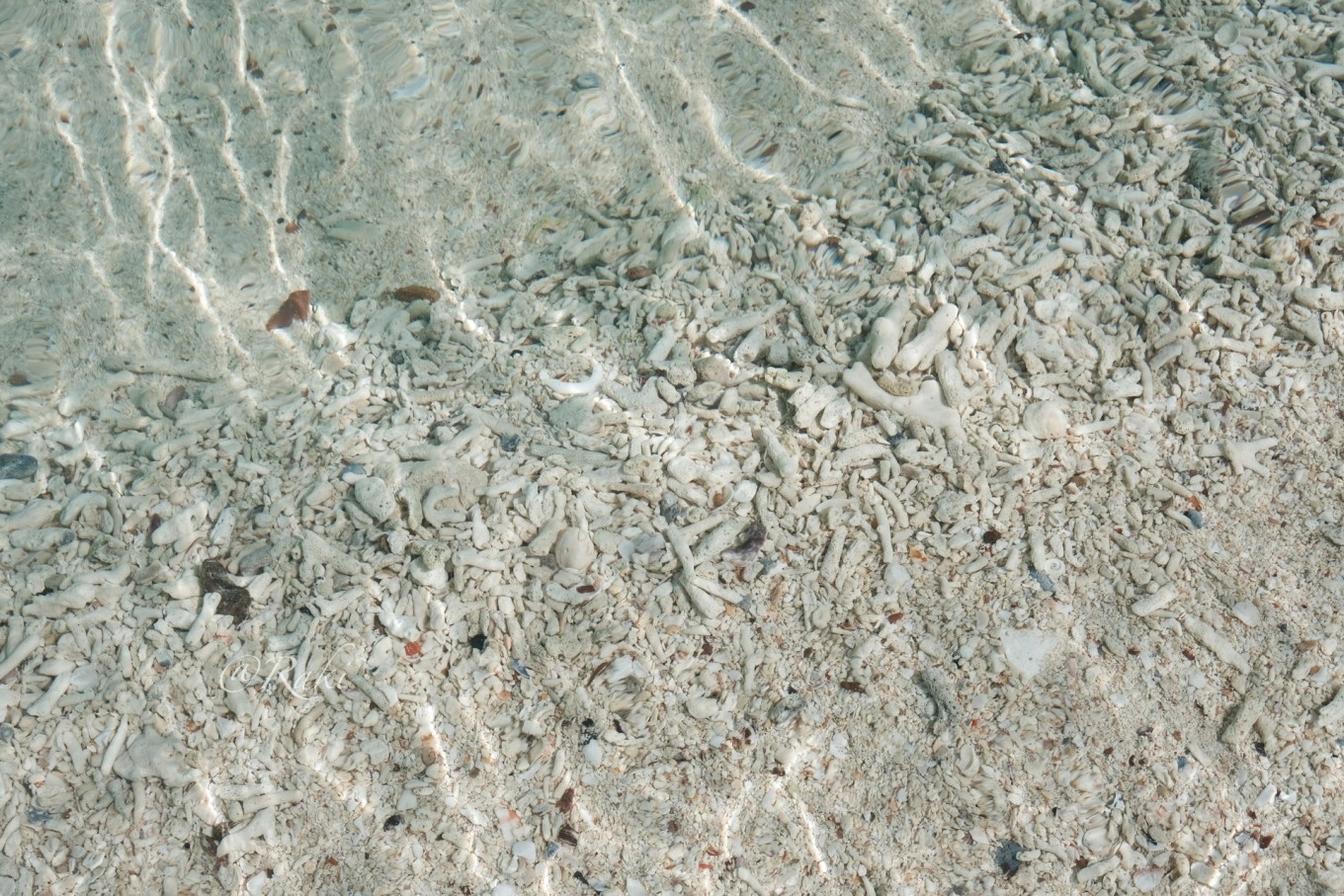 1678931632849497d27e.jpeg 1678931632849497d27e.jpeg